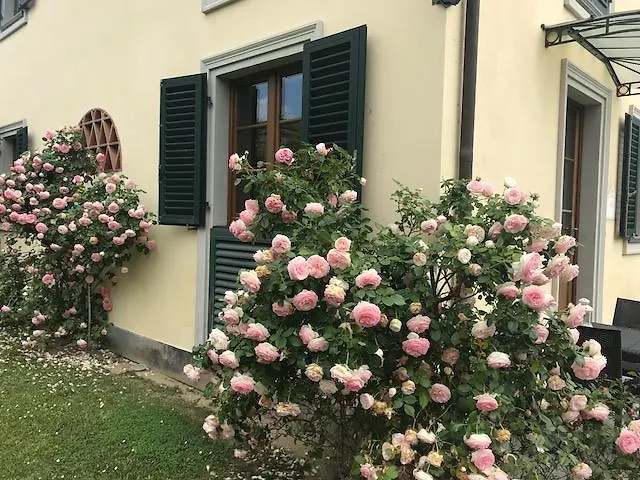 Residence Prunali Massarosa